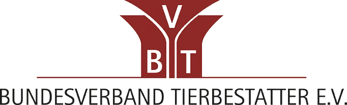 BTV Logo